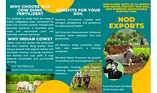 Cow Dung manure