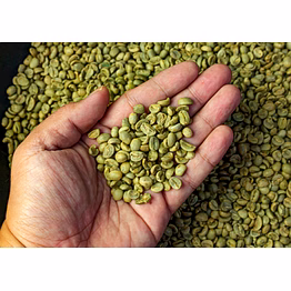 arabica washed aa - green coffee