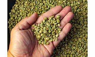 ARABICA WASHED AA - GREEN COFFEE