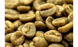 ROBUSTA PARCHMENT A - GREEN COFFEE