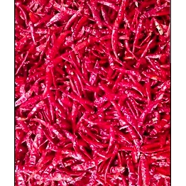 Dry Teja Red chilli with stem