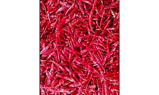 Dry Teja Red chilli with stem