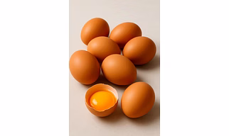Chicken egg