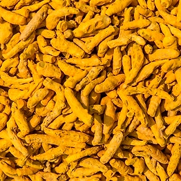 IKON Organic Turmeric Finger
