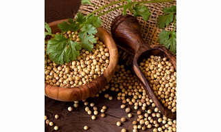 Coriander Seeds