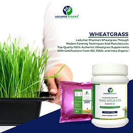 Wheatgrass Powder
