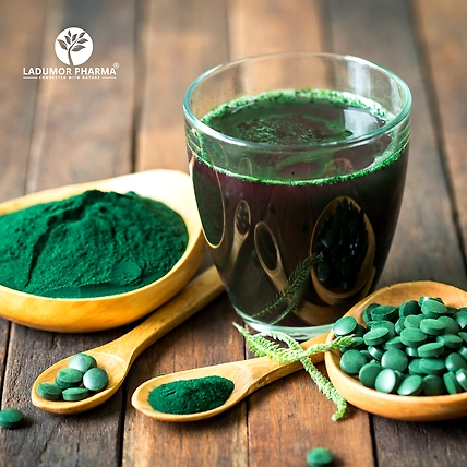 Spirulina Powder-3