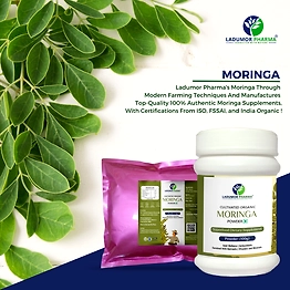 Moringa Leaves Powder