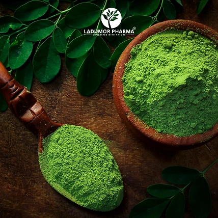 Moringa Leaves Powder-2