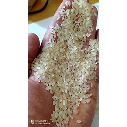 All type of rice
