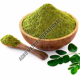moringa oleifera powder