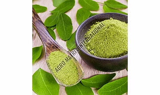 Pure Moringa Powder