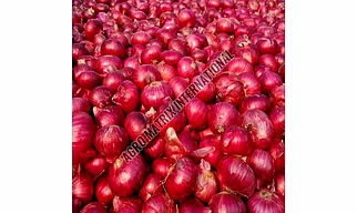 Red Onion