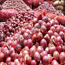 pink onions