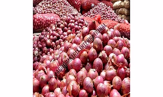 Pink Onions