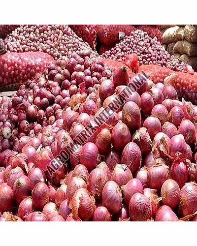 Pink Onions-1019