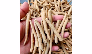 NATURAL ASHWAGANDHA ROOTS