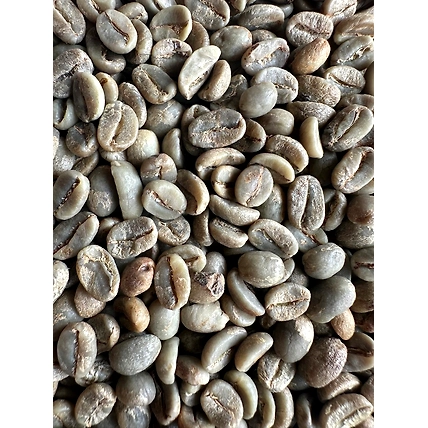 Arabica Coffee Beans-5