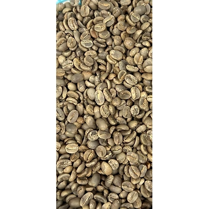 Arabica Coffee Beans-4