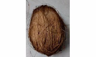 Dehusked coconut
