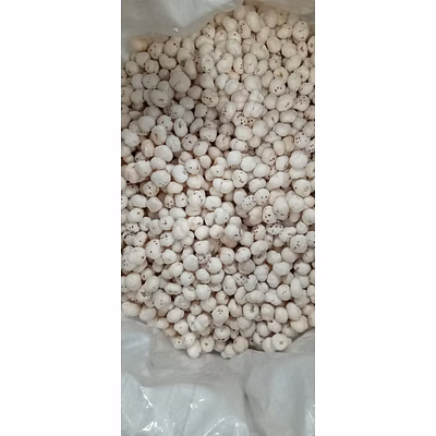 fox nuts