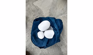 Quartz Pebbles
