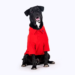 polo t-shirt for dog