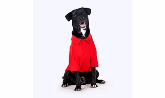 Polo T-Shirt For Dog