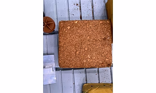 cocopeat
