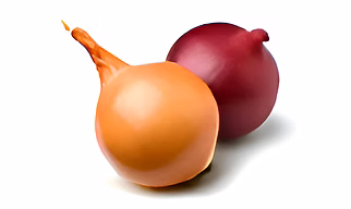 Onion