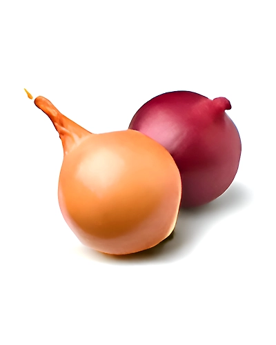 Onion-12711631_ONI-RED-25KG