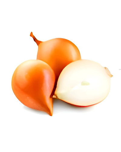Onion-2