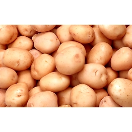 Potato