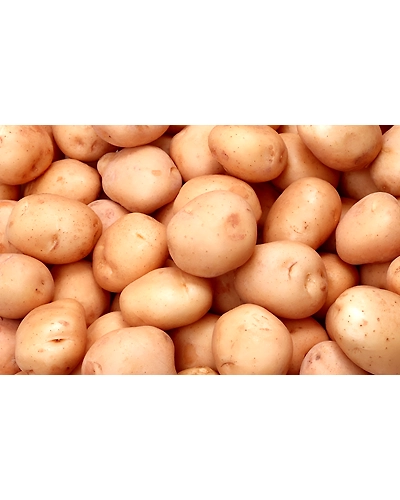 Potato-1