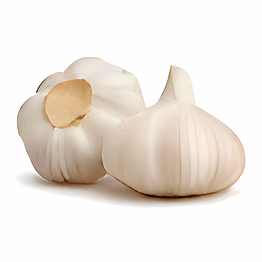 garlic