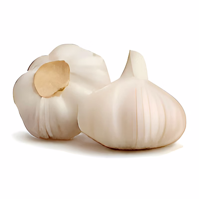 garlic