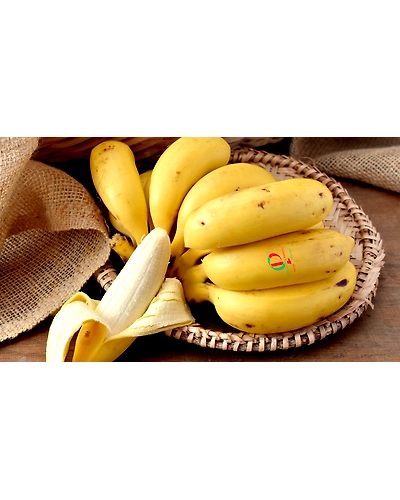 Banana-12711629