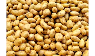Fresh potato