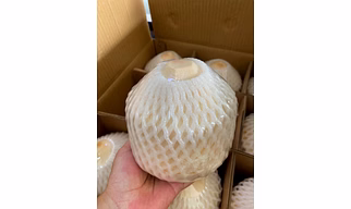 diamond cut coconut