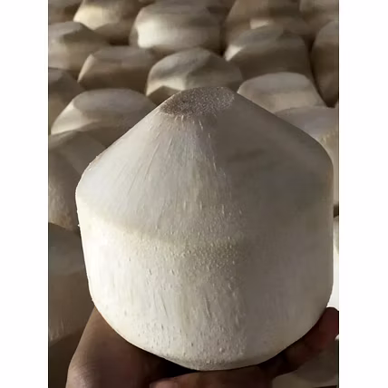 diamond cut coconut-2