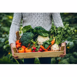 true veg organic vegetables