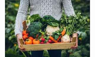 Organic Vegetables