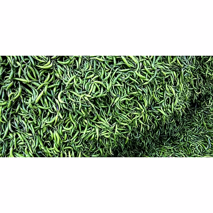 Green Chilli-1