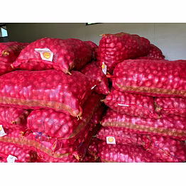 red golta red onion