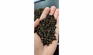 Premium Organic Black Pepper from Meghalaya - Pure Aroma and Flavor