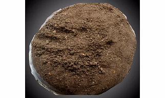 Premium Organic Neem Shakti Manure for Healthy Plant Growth