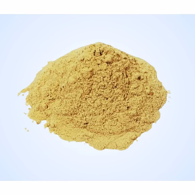 premium black turmeric powder - finest quality from m/s gauranshi industries
