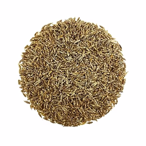 CUMIN SEEDS