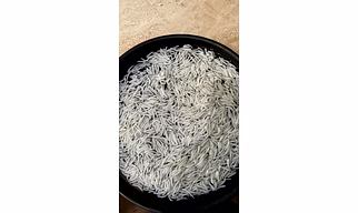 1121 White Sella Basmati Rice