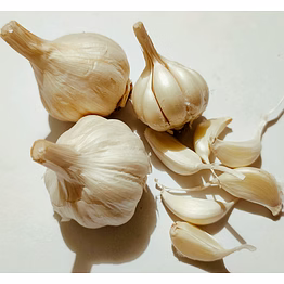 white garlic